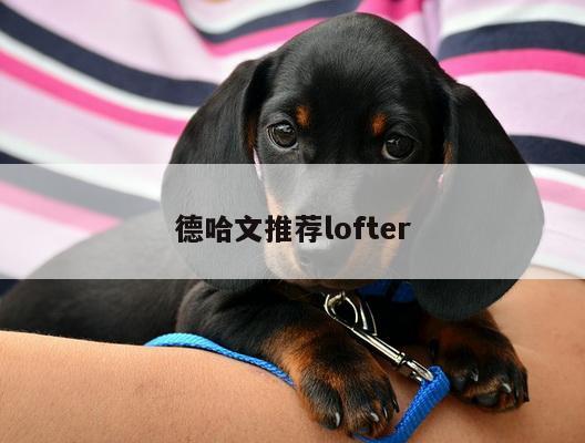 德哈文推荐lofter