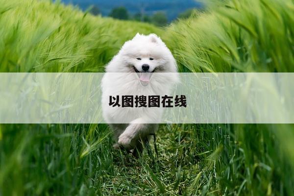以图搜图在线