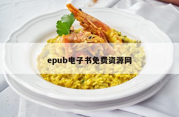epub电子书免费资源网