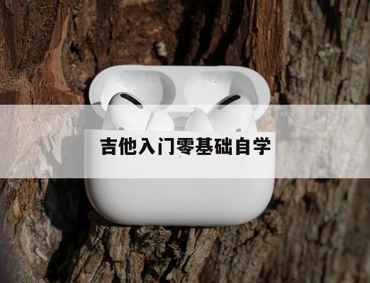 吉他入门零基础自学