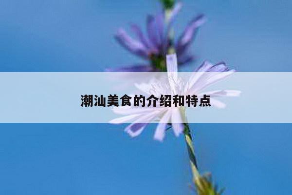 潮汕美食的介绍和特点