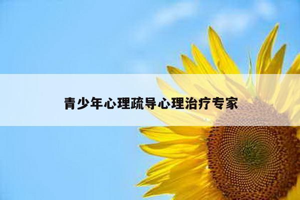 青少年心理疏导心理治疗专家
