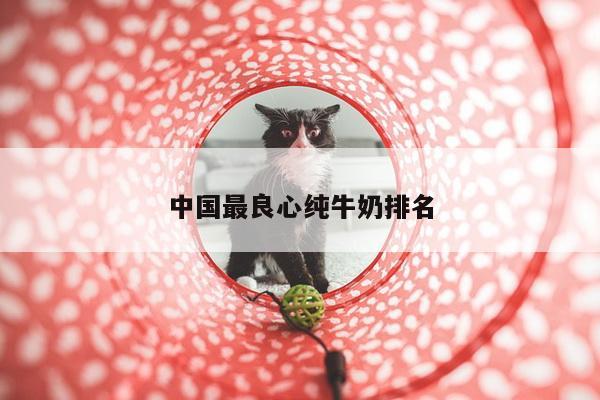 中国最良心纯牛奶排名