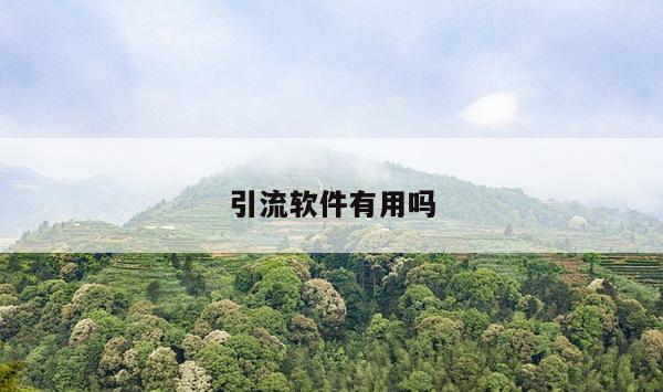 引流软件有用吗