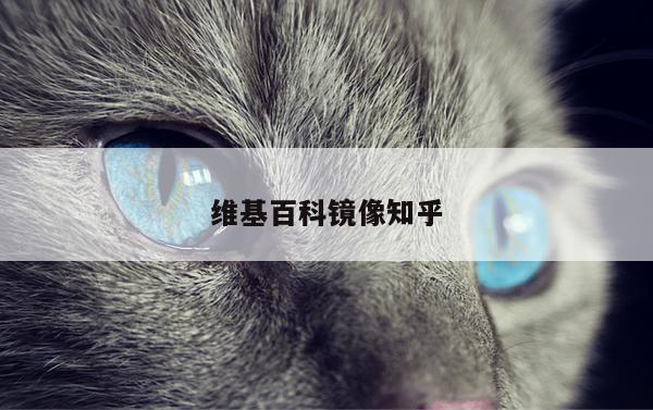 维基百科镜像知乎
