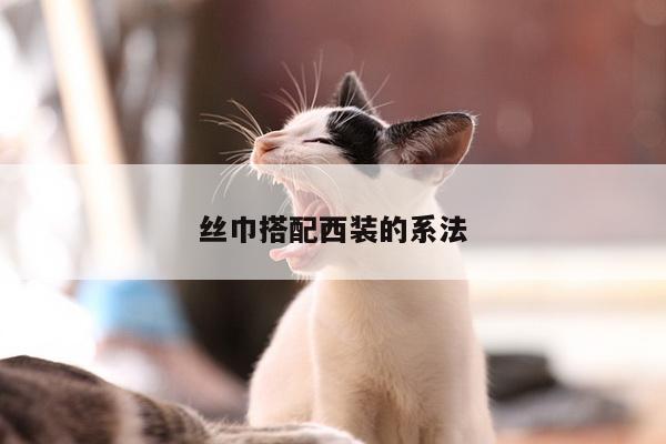 丝巾搭配西装的系法