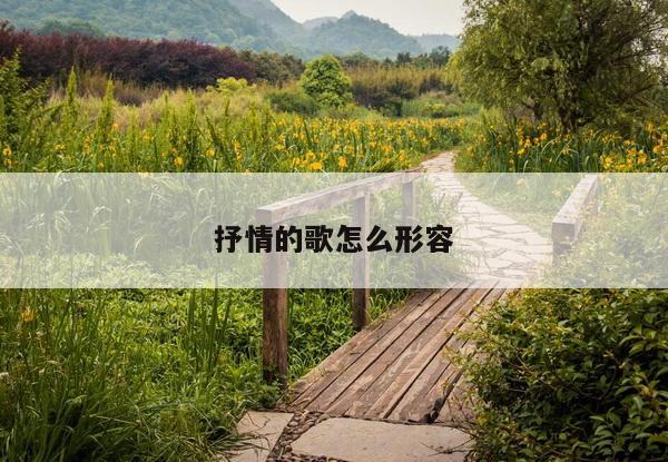 抒情的歌怎么形容