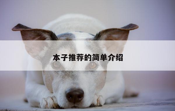 本子推荐的简单介绍