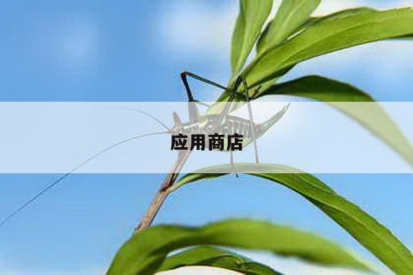 应用商店
