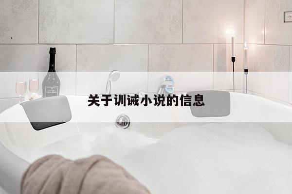 关于训诫小说的信息