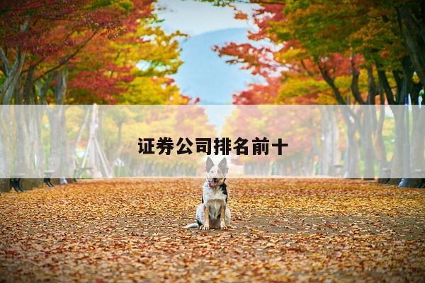 证券公司排名前十