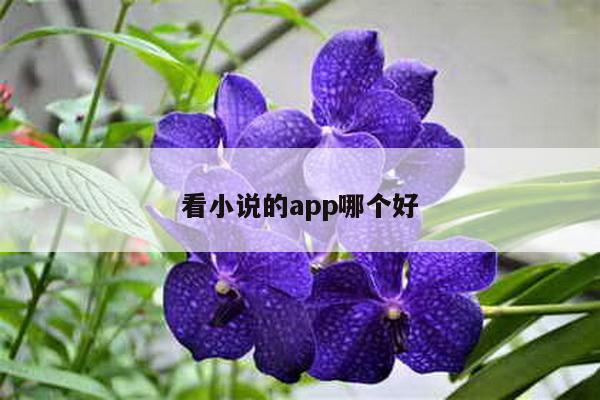 看小说的app哪个好