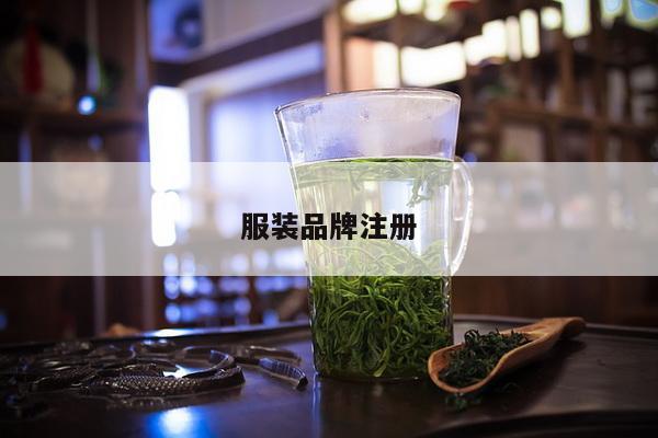 服装品牌注册