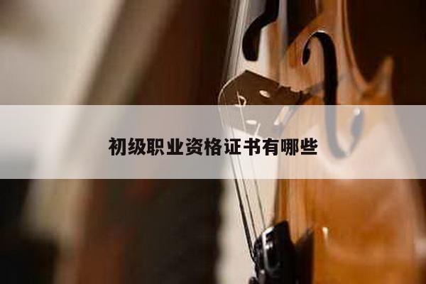 初级职业资格证书有哪些