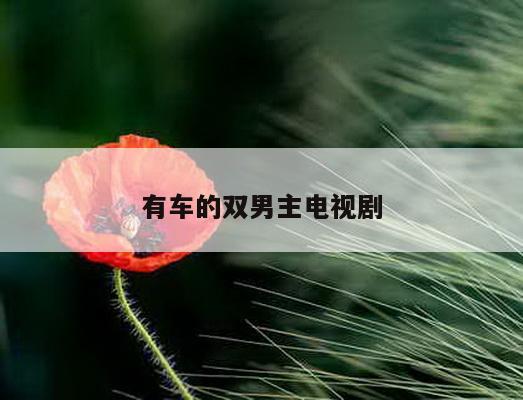 有车的双男主电视剧