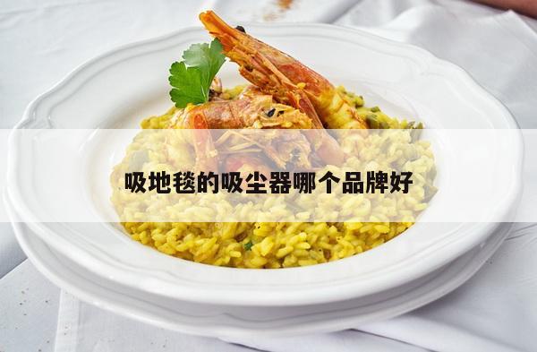 吸地毯的吸尘器哪个品牌好