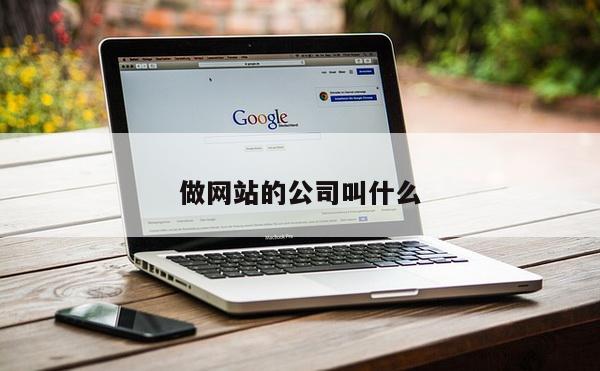 做网站的公司叫什么