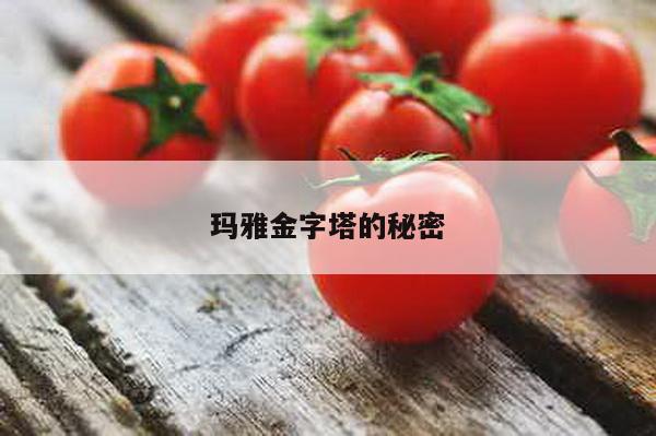 玛雅金字塔的秘密