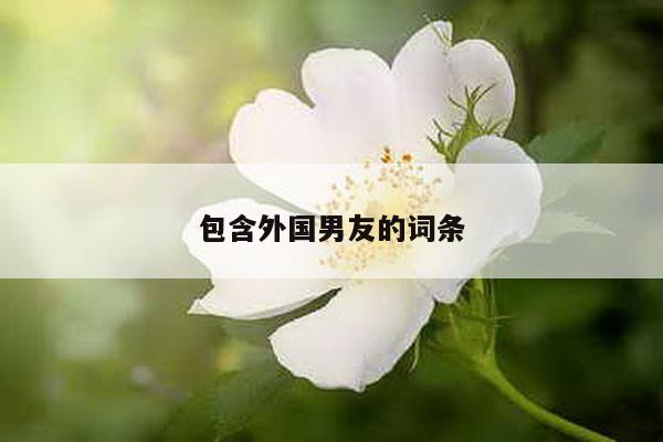 包含外国男友的词条