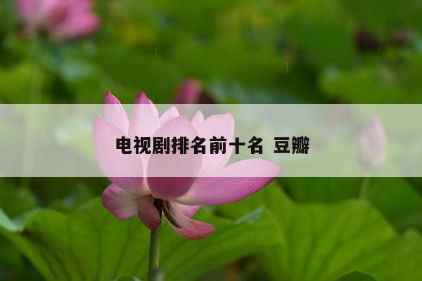 电视剧排名前十名 豆瓣