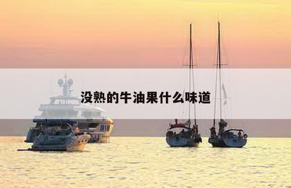 没熟的牛油果什么味道