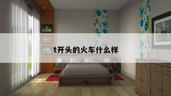 t开头的火车什么样