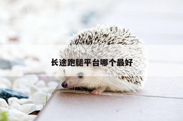 长途跑腿平台哪个最好