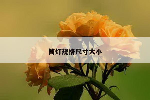 筒灯规格尺寸大小
