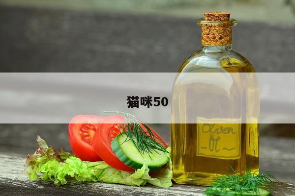 猫咪50