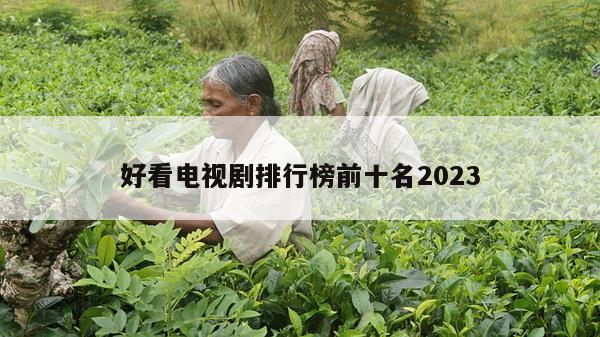 好看电视剧排行榜前十名2023