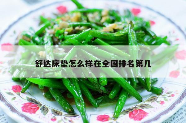 舒达床垫怎么样在全国排名第几