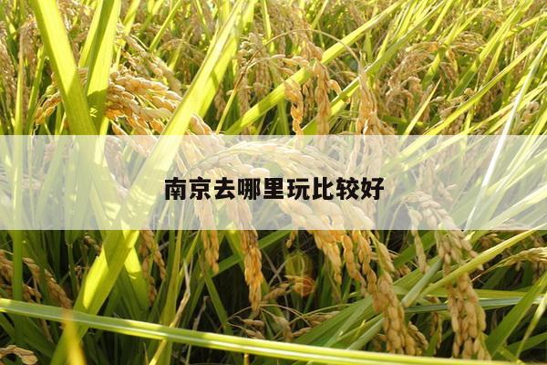南京去哪里玩比较好