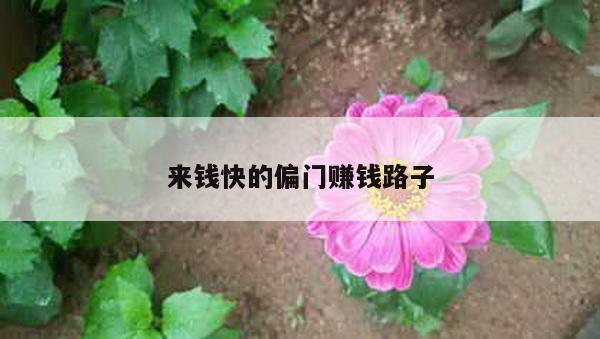 来钱快的偏门赚钱路子