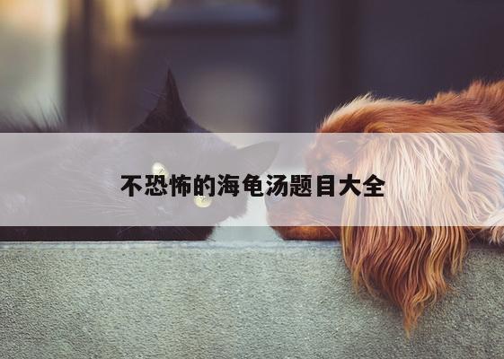 不恐怖的海龟汤题目大全