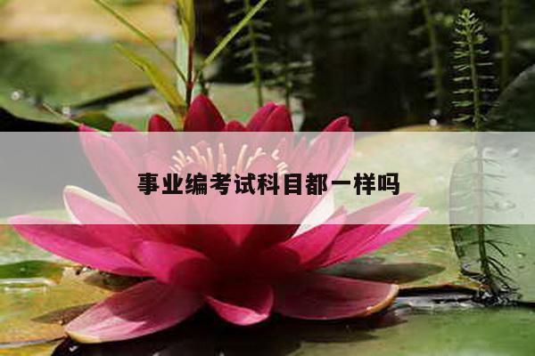 事业编考试科目都一样吗