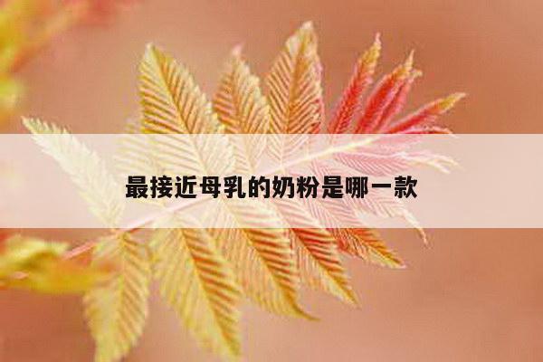 最接近母乳的奶粉是哪一款
