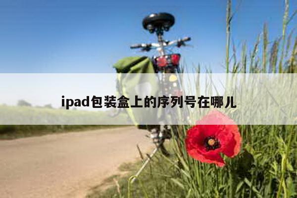 ipad包装盒上的序列号在哪儿