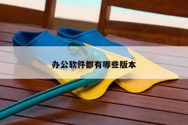 办公软件都有哪些版本