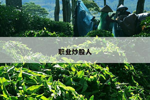 职业炒股人