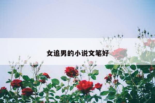 女追男的小说文笔好