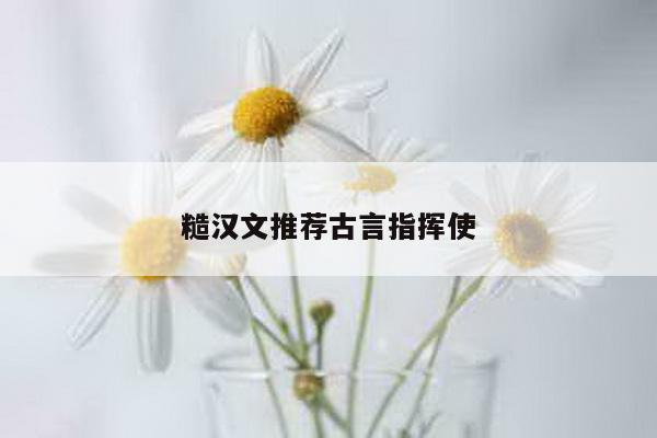 糙汉文推荐古言指挥使