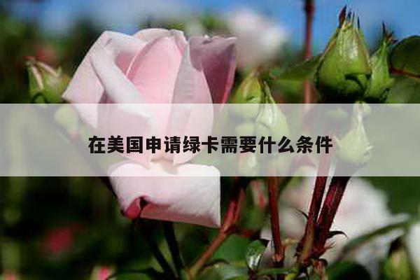 在美国申请绿卡需要什么条件