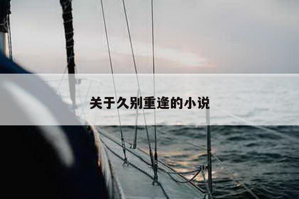 关于久别重逢的小说