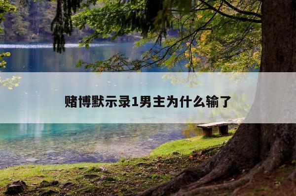 赌博默示录1男主为什么输了