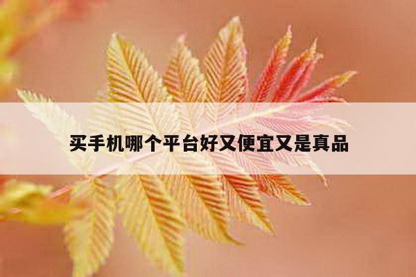 买手机哪个平台好又便宜又是真品