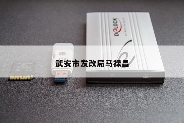 武安市发改局马禄昌