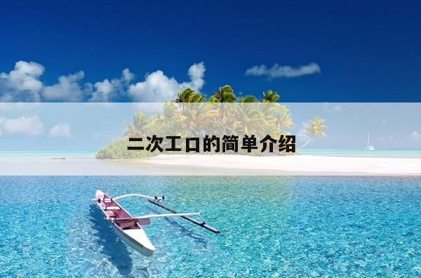 二次工口的简单介绍