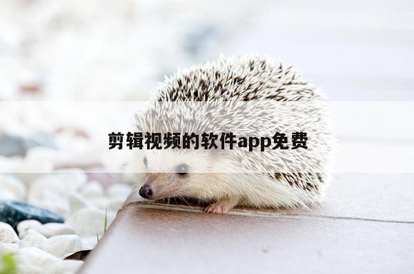 剪辑视频的软件app免费