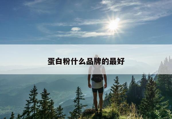 蛋白粉什么品牌的最好