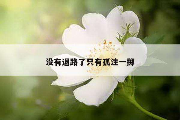 没有退路了只有孤注一掷